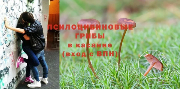 прущие крисы Верея