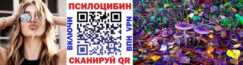 наркота  Киреевск  Псилоцибиновые грибы Magic Shrooms 